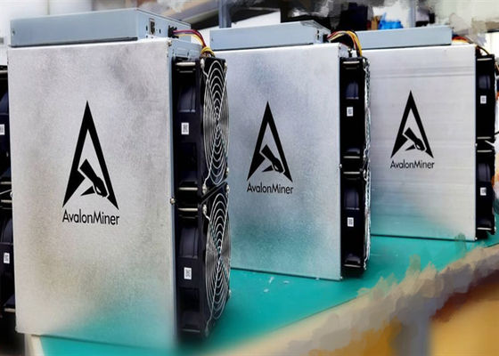Il pro minatore di 55TH/S Canaan Avalon 1066, 3300W ha usato il minatore cripto della moneta di BTC